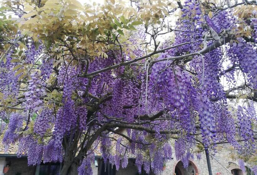 Апартаменты 1 Спальня, Agriturismo Debbione Marconi