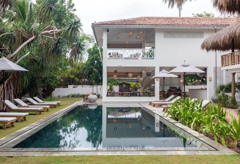 غرفة قياسية ثلاثية, Halcyon Mawella