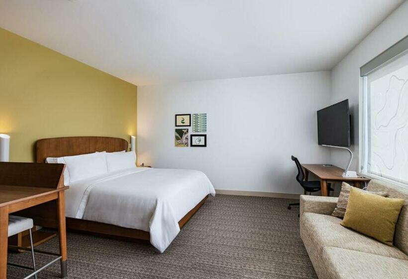 Студио Стандарт Кровать Кинг, Element Dallas Las Colinas