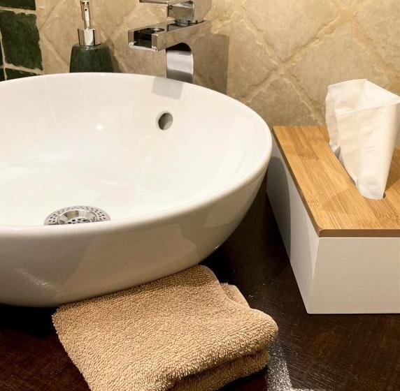 غرفة قياسية, Lou Mistral