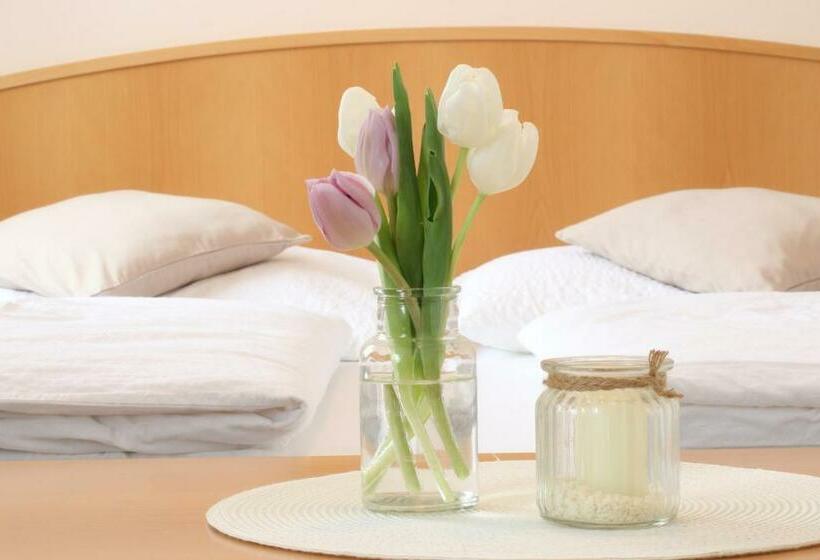 标准间, Pension Joseph Haydn