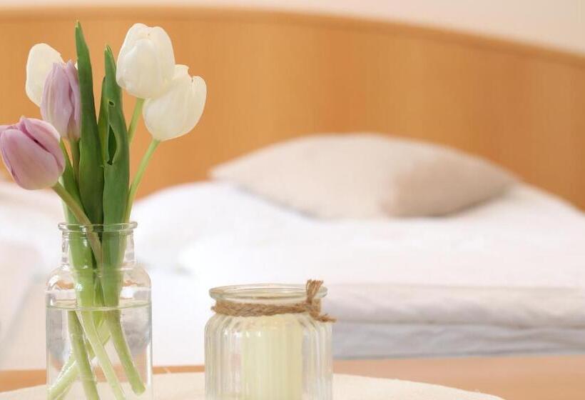 标准间, Pension Joseph Haydn