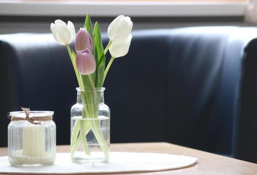 标准间, Pension Joseph Haydn