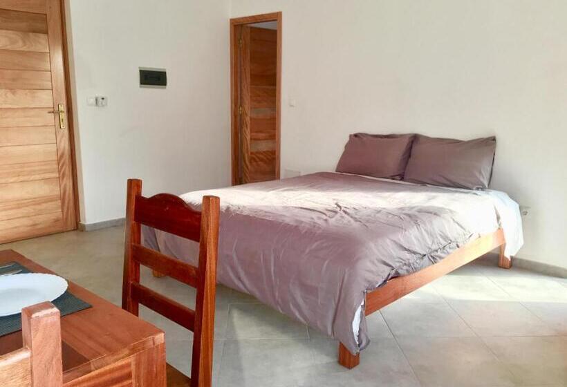 استودیوی استاندارد, Surfzone Beachside Apartments