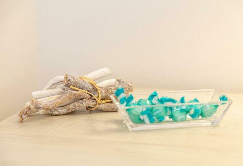 スタンダードルーム, Alexander B&b