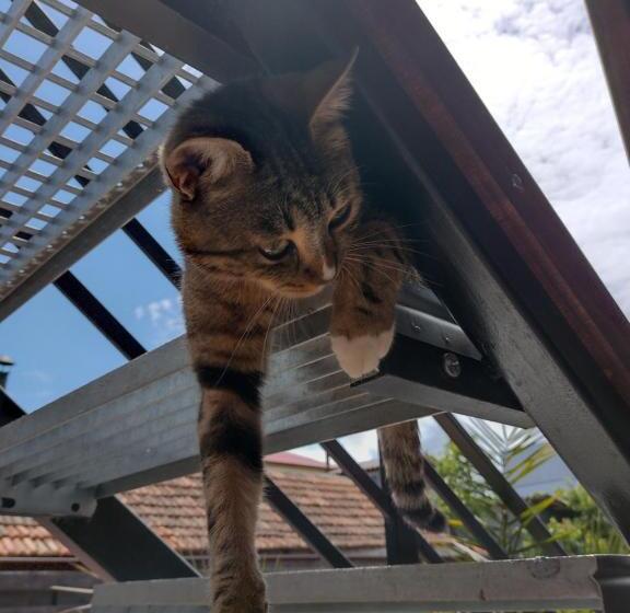 舒适三人间, Casa Mura