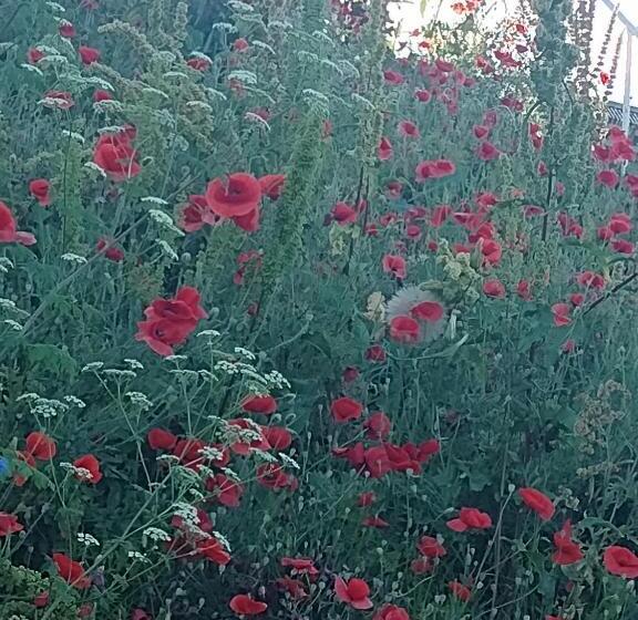 舒适三人间, Casa Mura