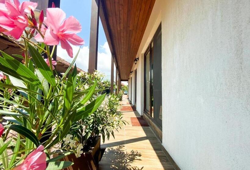 舒适三人间, Casa Mura