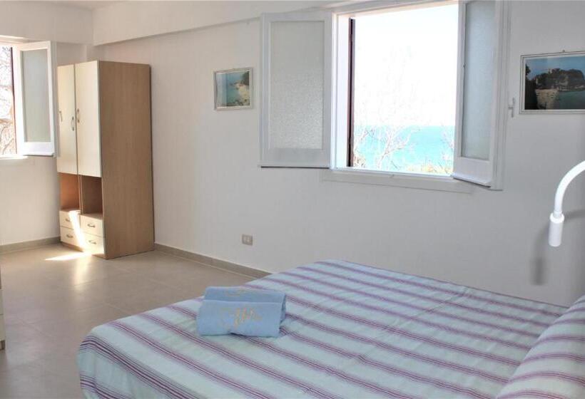 ガーデンビューのスタンダードワンルーム, Residence Vardano