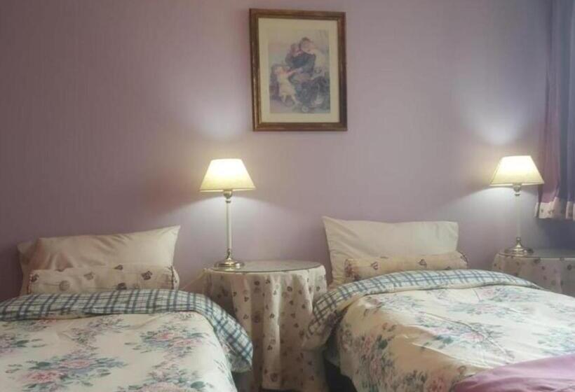 غرفة قياسية, Flor Austral