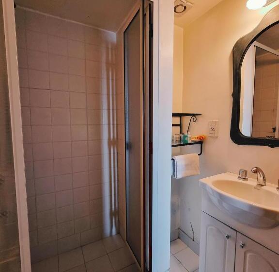 غرفة قياسية, Flor Austral