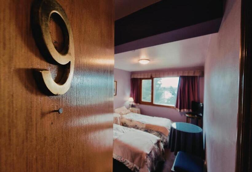 غرفة قياسية, Flor Austral