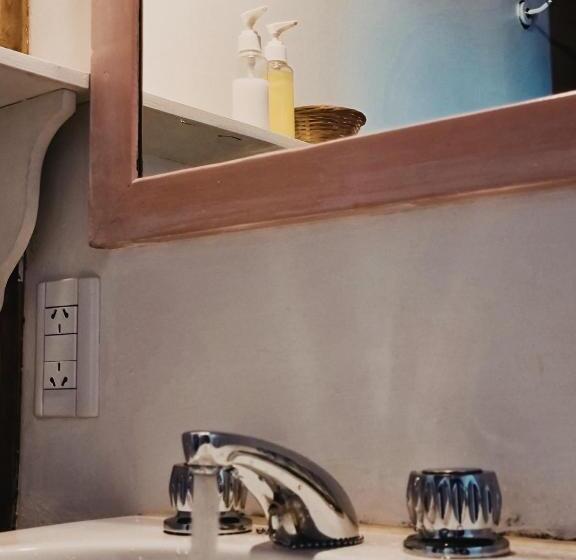 غرفة قياسية, Flor Austral