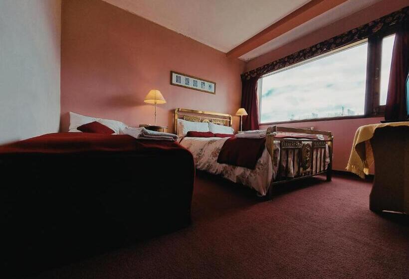 غرفة قياسية ثلاثية, Flor Austral