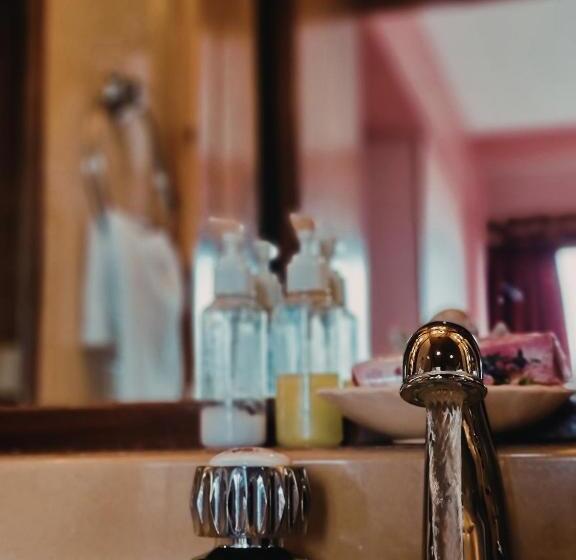 غرفة قياسية ثلاثية, Flor Austral