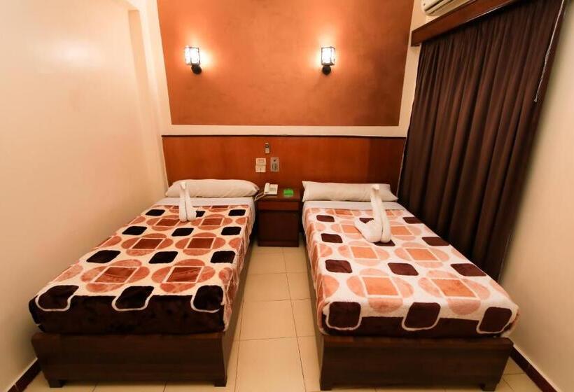 اتاق اکونومی, New Saint Catherine