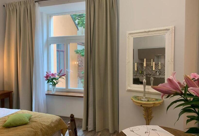 استودیو استاندارد با تخت کینگ, Nb Apartments Riga Old Town