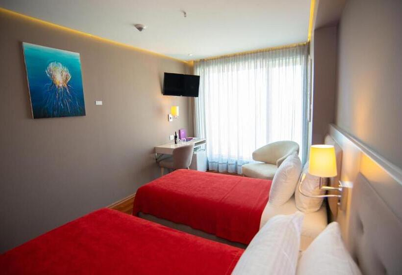 オーシャンビュースタンダードルーム, Bougainville Bay