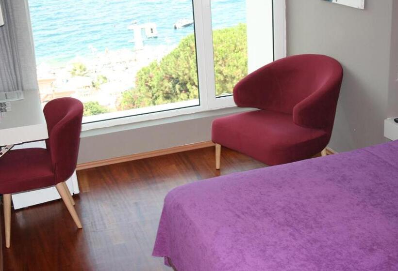 オーシャンビュースタンダードルーム, Bougainville Bay