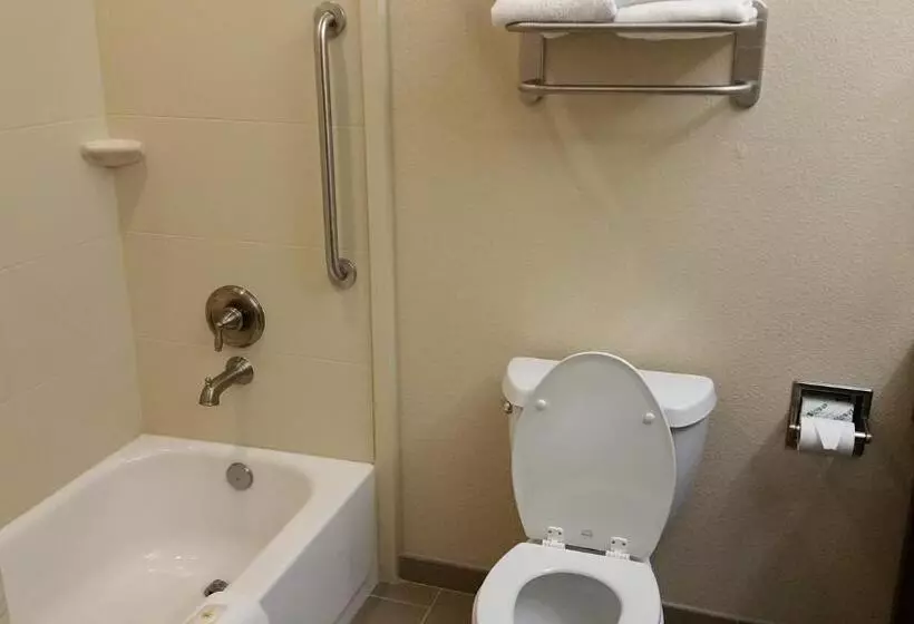 キングサイズベッドのスタンダードルーム, Comfort Inn & Suites Lakeside