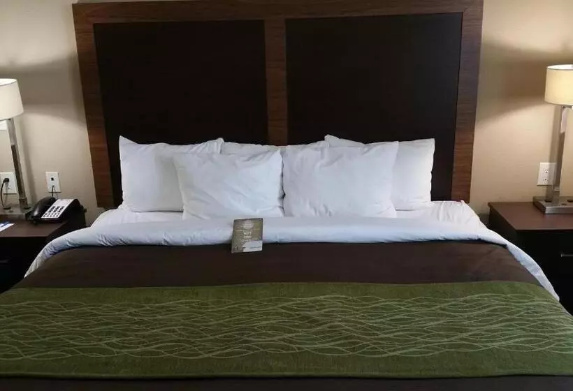キングサイズベッドのスタンダードルーム, Comfort Inn & Suites Lakeside