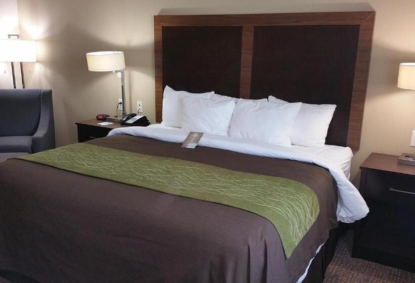 キングサイズベッドのスタンダードルーム, Comfort Inn & Suites Lakeside