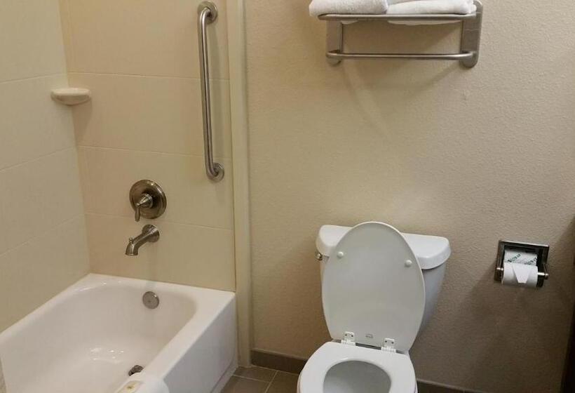 スタンダードルーム, Comfort Inn & Suites Lakeside