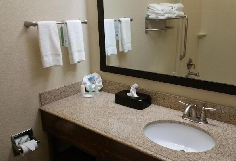 スタンダードルーム, Comfort Inn & Suites Lakeside