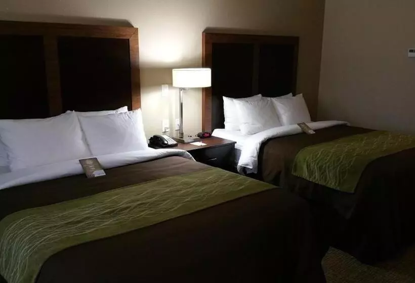 スタンダードルーム, Comfort Inn & Suites Lakeside