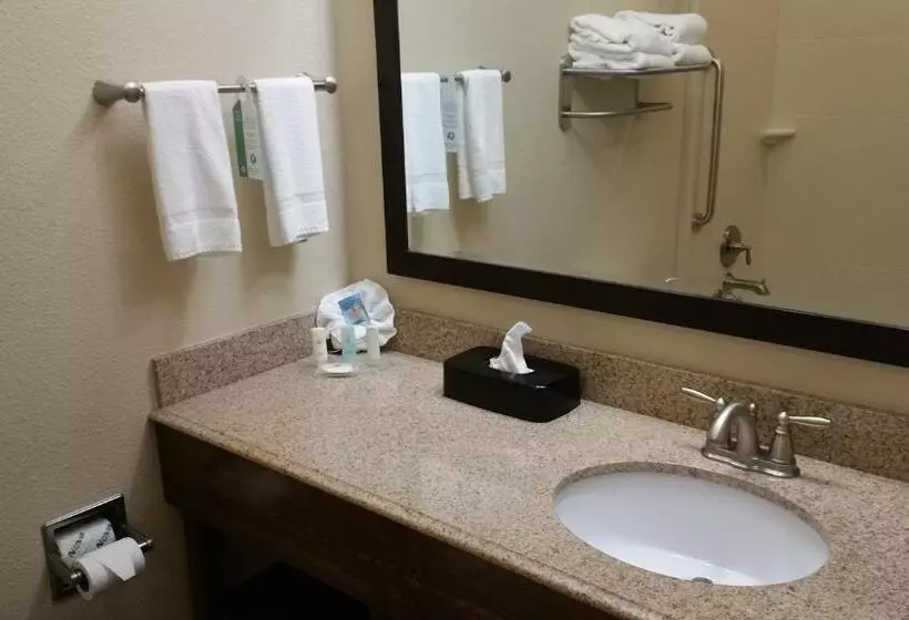 キングサイズベッドのスイートルーム, Comfort Inn & Suites Lakeside