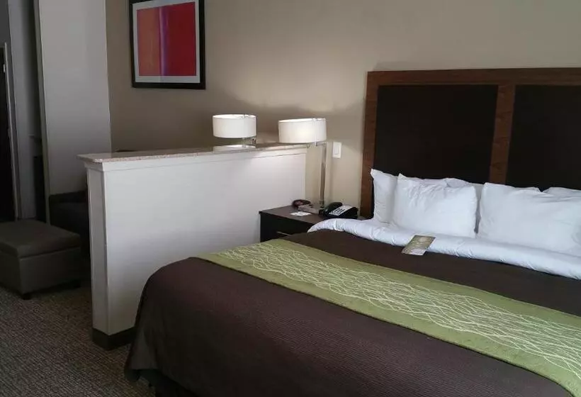キングサイズベッドのスイートルーム, Comfort Inn & Suites Lakeside