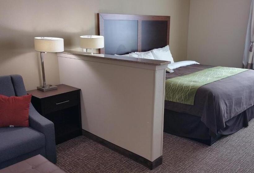 キングサイズベッドのスイートルーム, Comfort Inn & Suites Lakeside