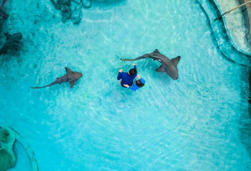 آپارتمان 3 خوابه با چشم‌انداز دریا, Grand Hyatt Baha Mar