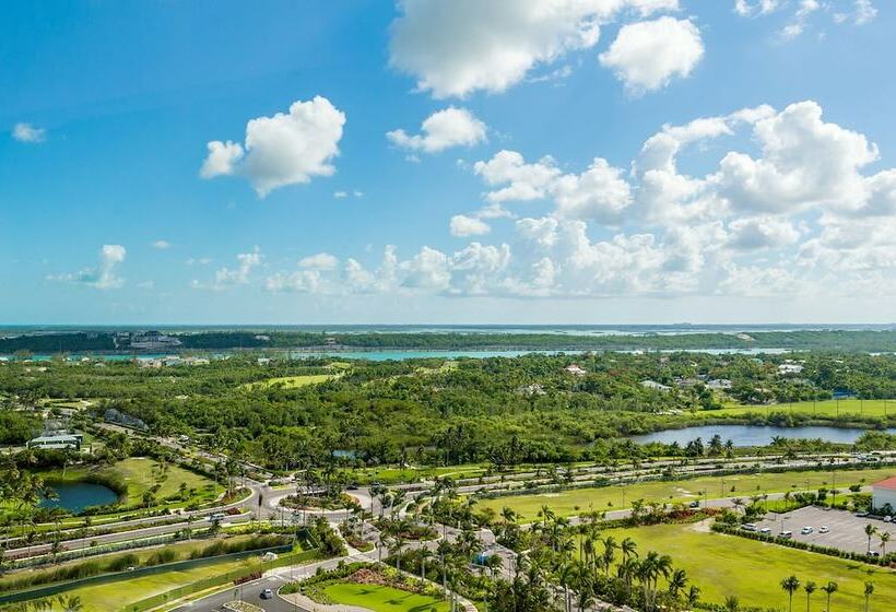 آپارتمان 1 خوابه با چشم‌انداز, Grand Hyatt Baha Mar