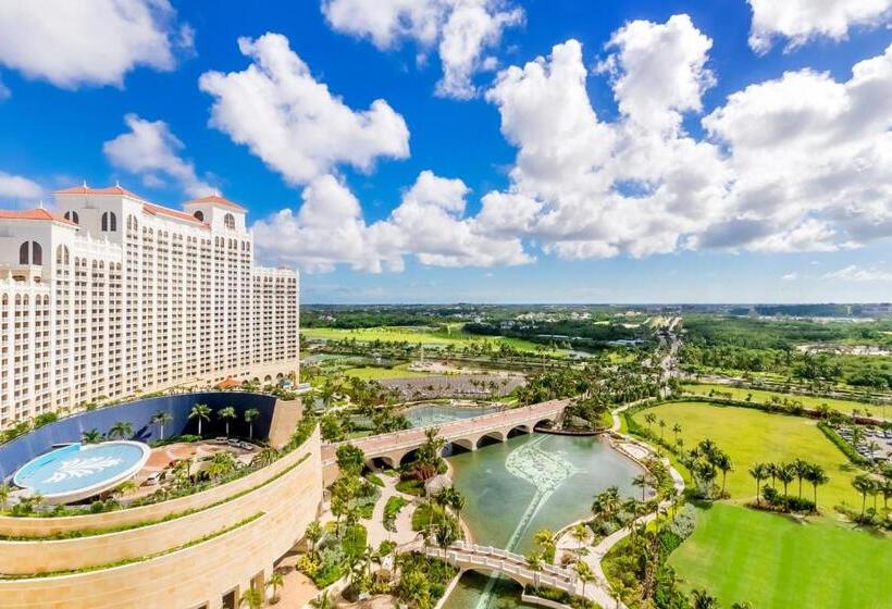 اتاق استاندارد با تخت بزرگ, Grand Hyatt Baha Mar