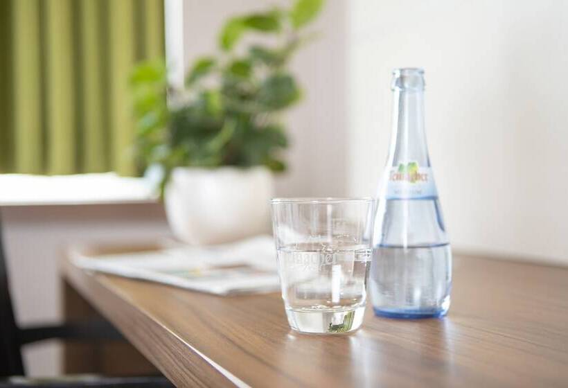 エコノミーシングルルーム, Joesepp´s Hotel Am Hallhof