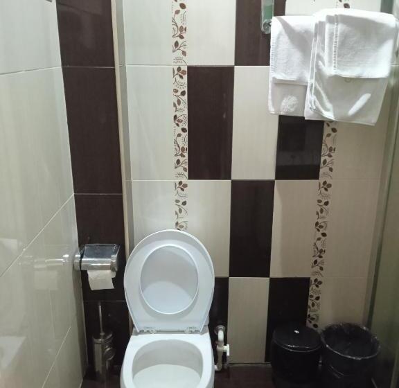 اتاق استاندارد, Sd David