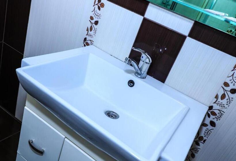 اتاق استاندارد, Sd David