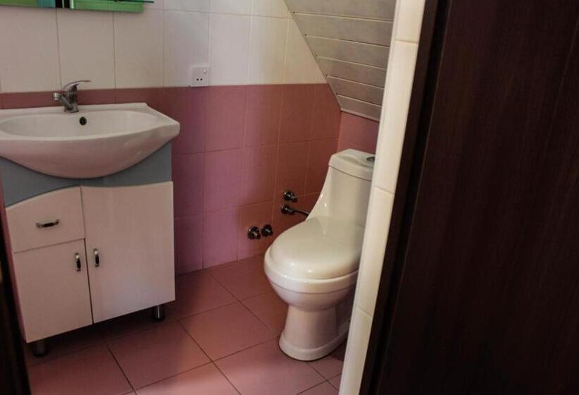 اتاق خانوادگی, Sd David