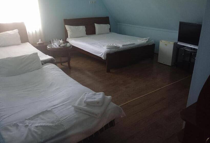 اتاق خانوادگی, Sd David