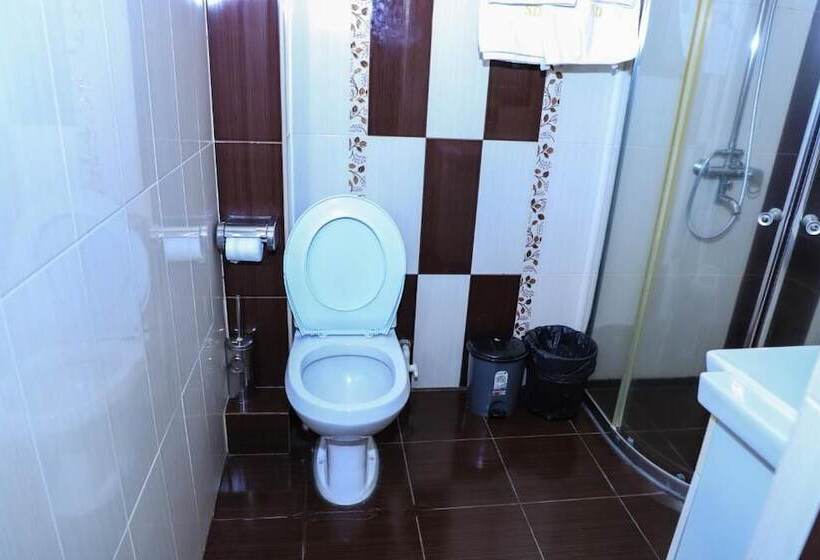 اتاق استاندارد, Sd David