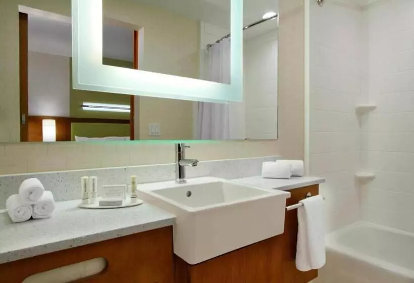 キングサイドベッドのスタンダードワンルーム, Springhill Suites By Marriott Houston I 45 North