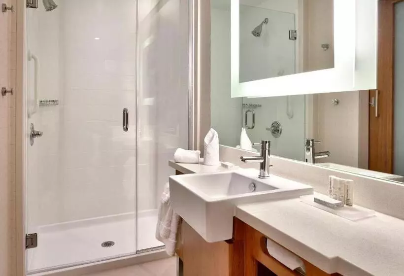 キングサイドベッドのスタンダードワンルーム, Springhill Suites By Marriott Houston I 45 North