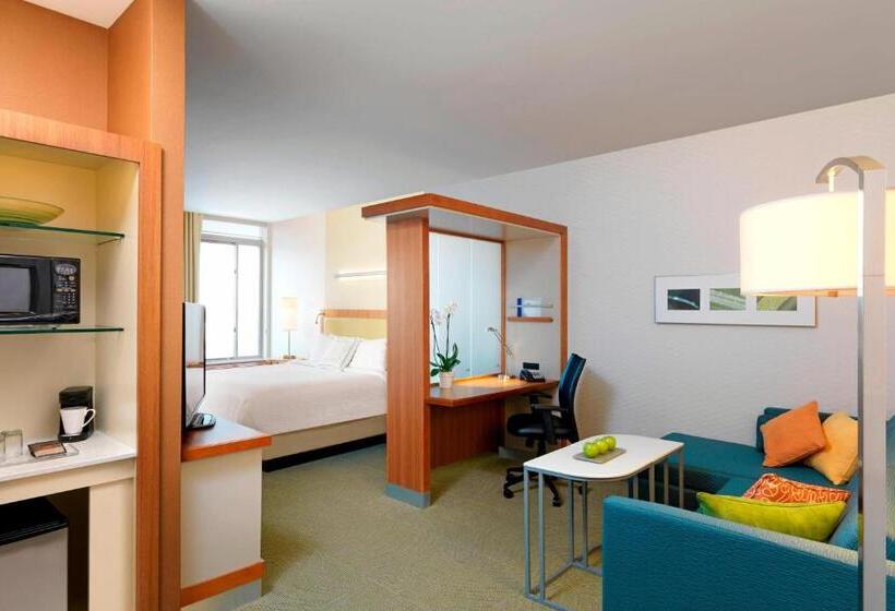 Студио Стандарт Кровать Кинг, Springhill Suites By Marriott Houston I 45 North