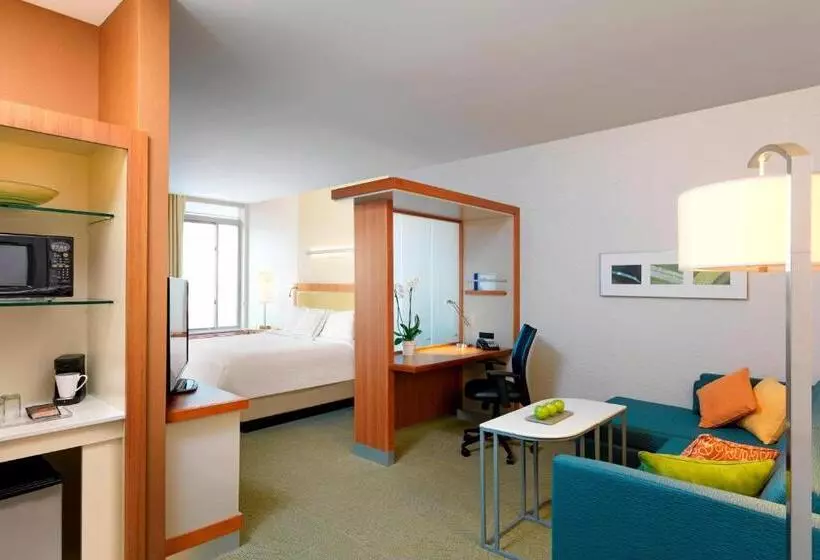 キングサイドベッドのスタンダードワンルーム, Springhill Suites By Marriott Houston I 45 North