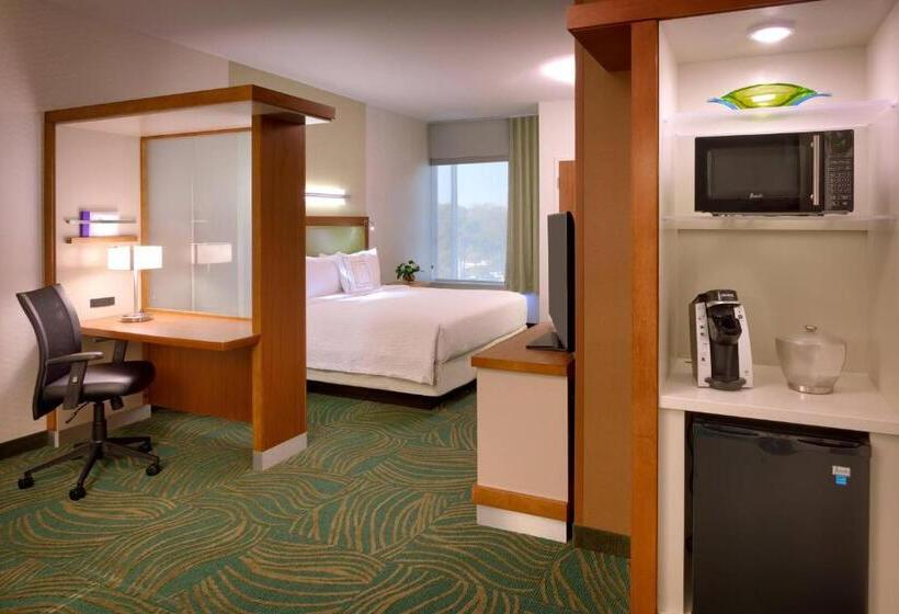 Студио Стандарт Кровать Кинг, Springhill Suites By Marriott Houston I 45 North