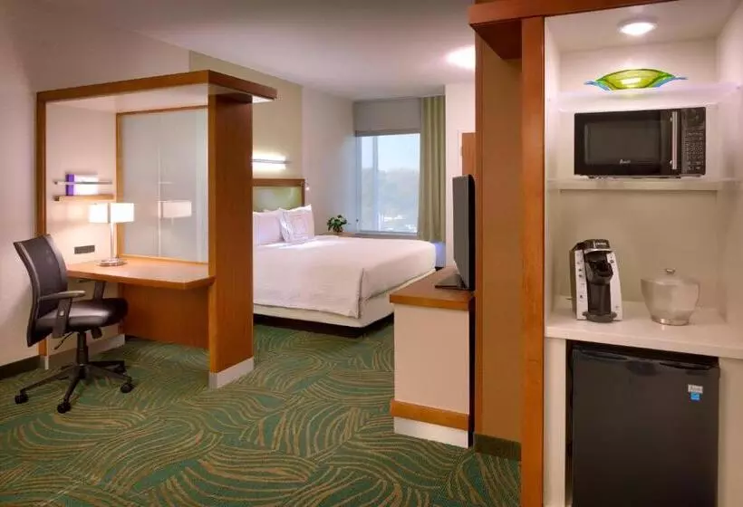 キングサイドベッドのスタンダードワンルーム, Springhill Suites By Marriott Houston I 45 North