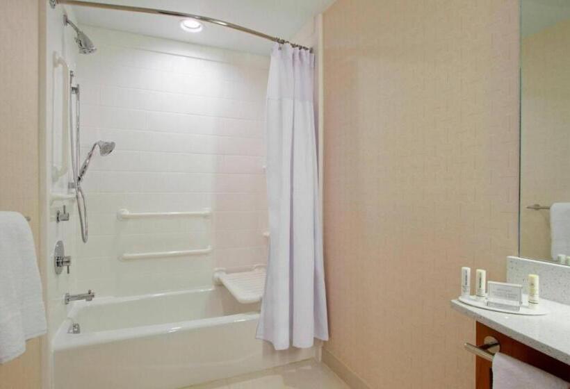 Студия Стандарт, Springhill Suites By Marriott Houston I 45 North