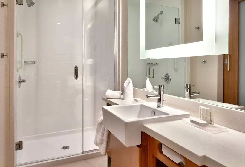 スタンダードスタジオ, Springhill Suites By Marriott Houston I 45 North