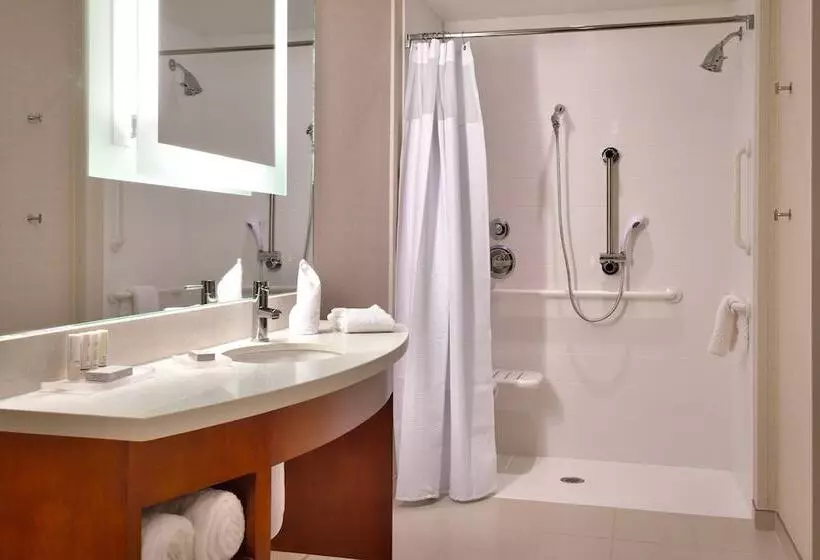 スタンダードスタジオ, Springhill Suites By Marriott Houston I 45 North